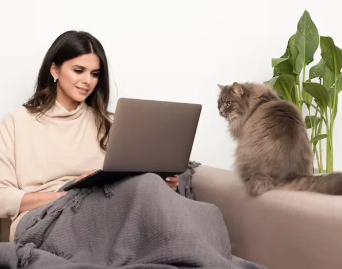 Flight Booking Assistance for Multi-City USA Movesga