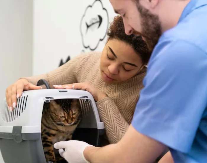 Flight Booking & Route Coordination