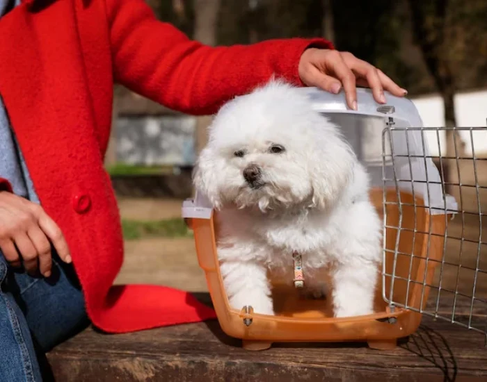 Flight Booking and Crate Coordinationmj