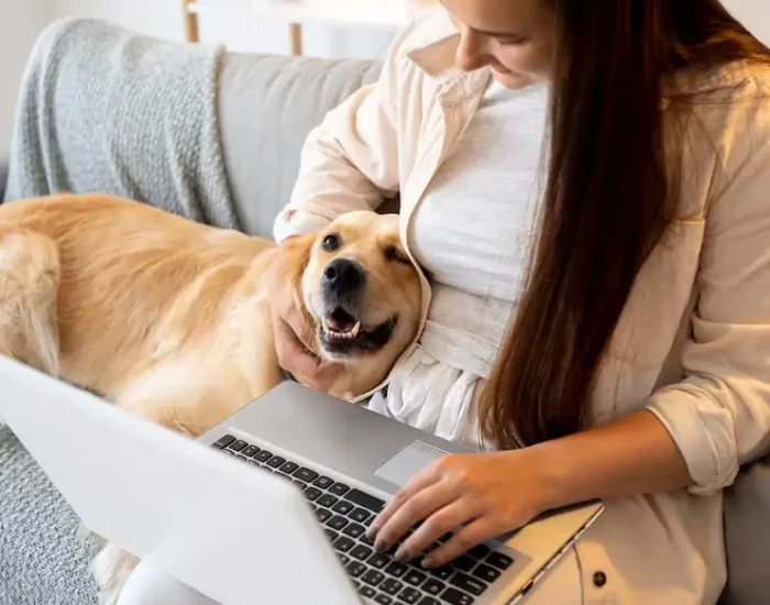 Flight Logistics and Route Plannin