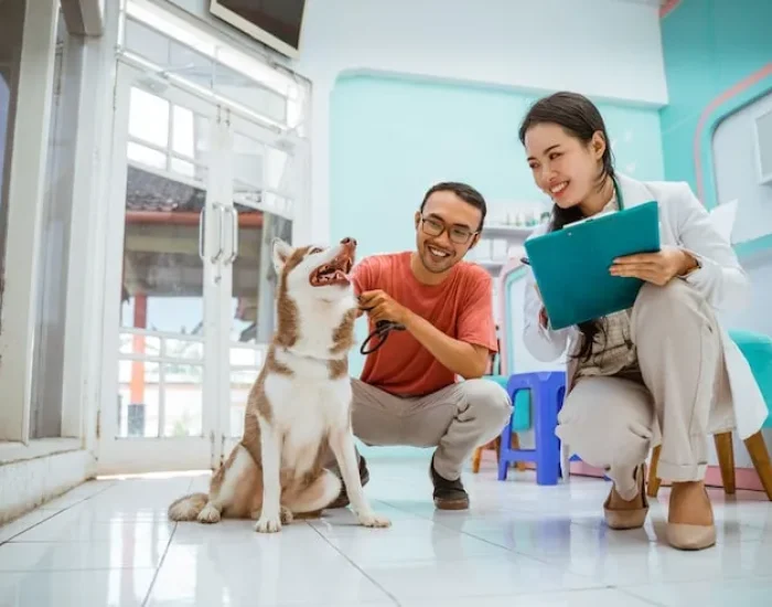 Flight Management And Routing