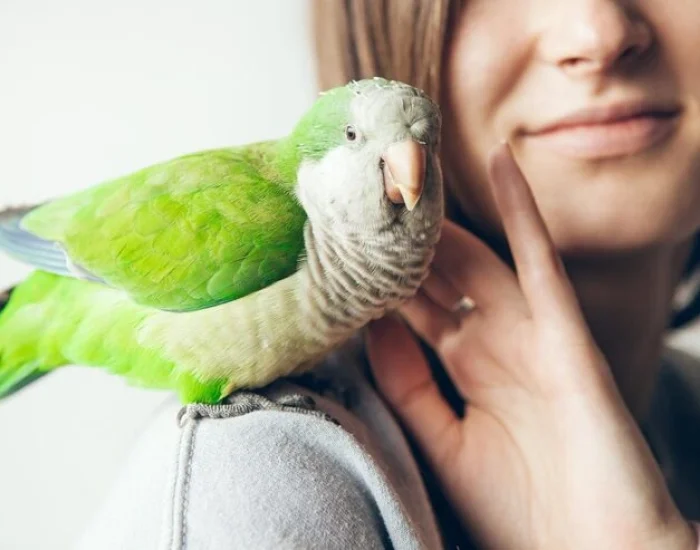 Flight Planning and Airline Coordination