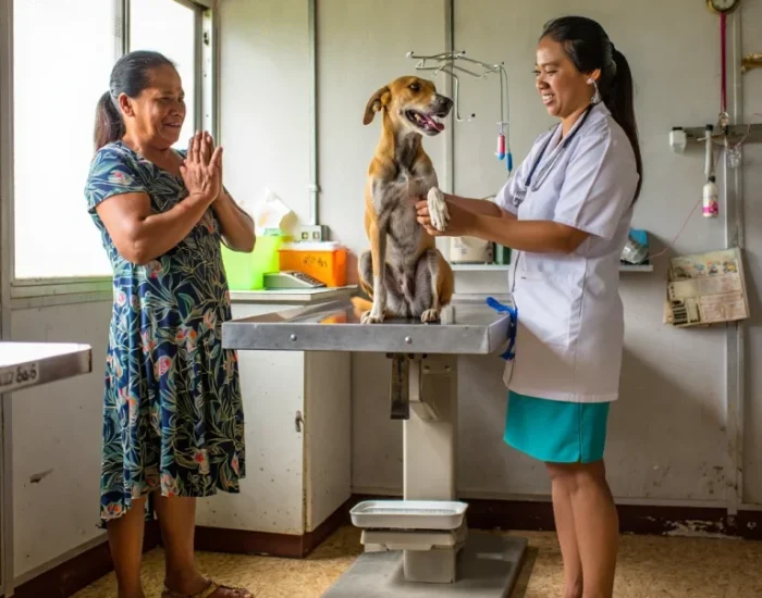 Flight Route Planning and Airline Coordination