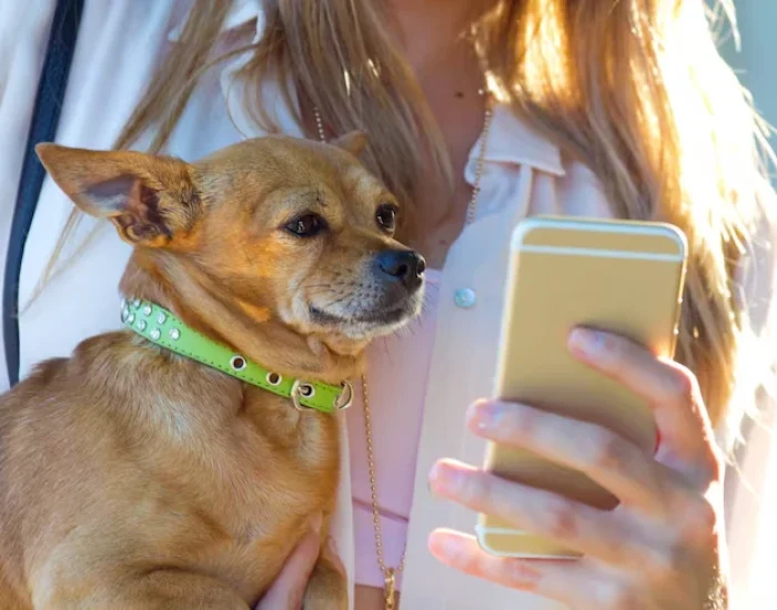 Flight Routing & Airline Coordinationk