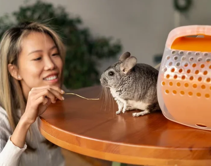 Flight Routing and Airline Coordination for UK to Lima