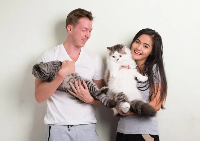 Flight Routing and Transit Planning