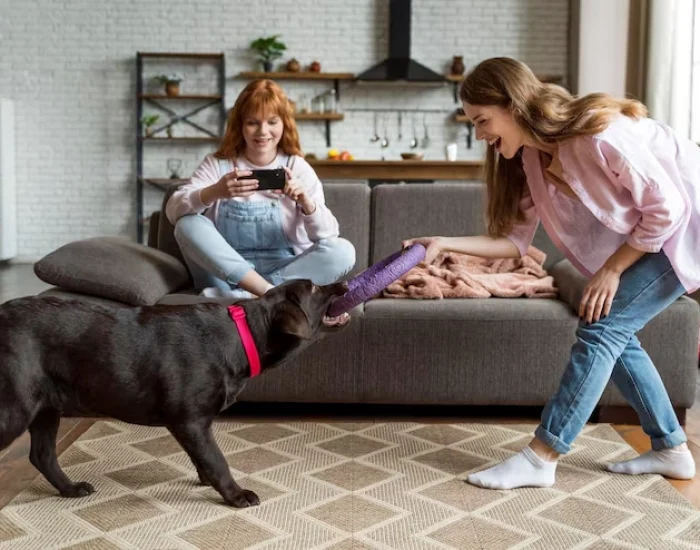 Full Pet Relocation Planning for Long-Term Moves