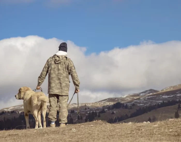 Government & Airline Policy Coordination​