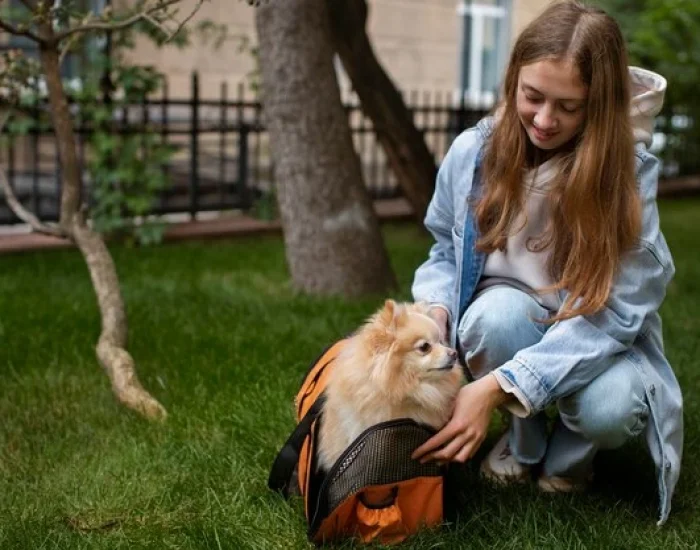 Ground Collection and Delivery Services