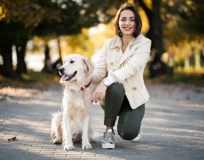 Approved Travel Crates and Comfort Preparation