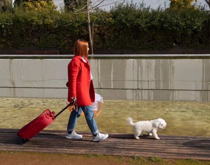 Ground Transport Across Europe