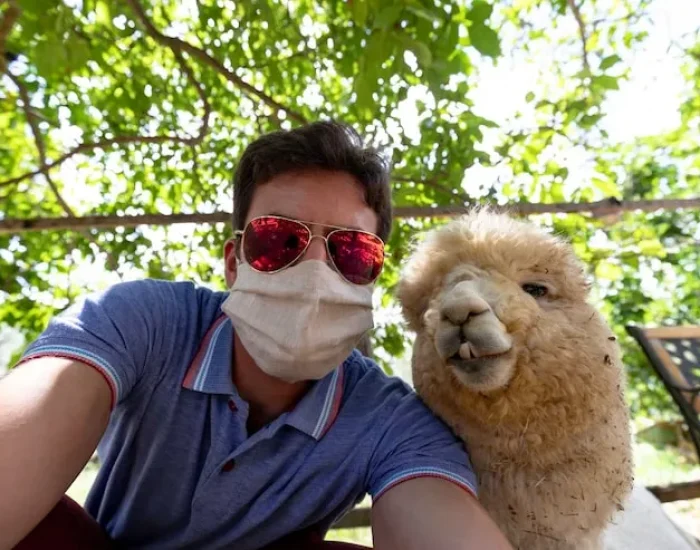 Ground Transport Across the UK