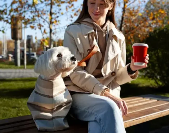 Ground Transport Across the UKk