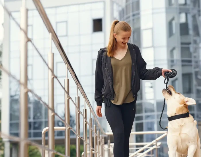 Ground Transport Coordination in Costa Rica and the Ukr