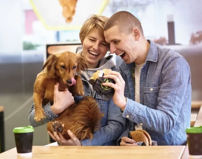 Ground Transport in Thailand and the UK