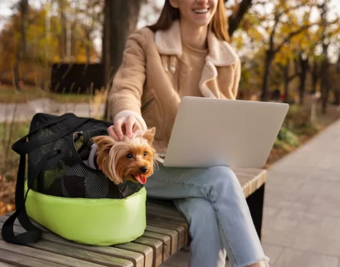 Ground Transport in the UK and Baltimored