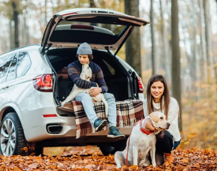 Ground Transport in the UK and Hong Kong