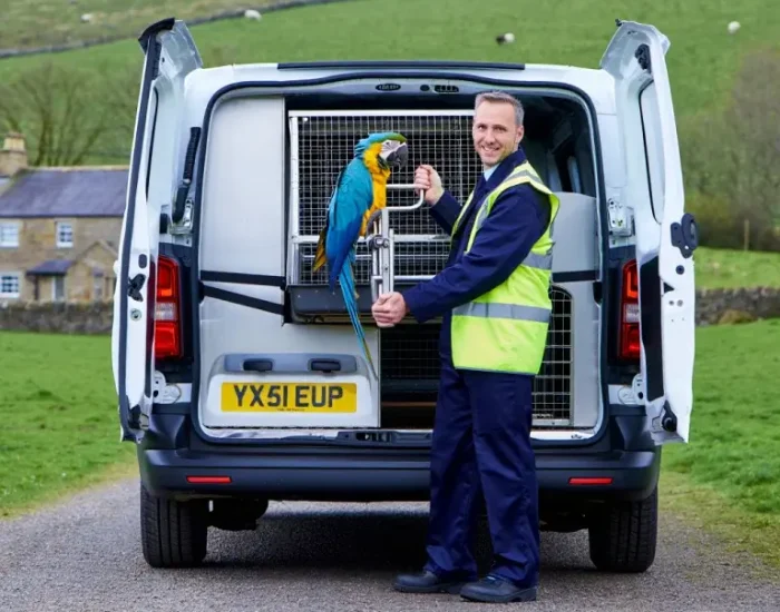 Ground Transport in the UK and Saudi Arabia