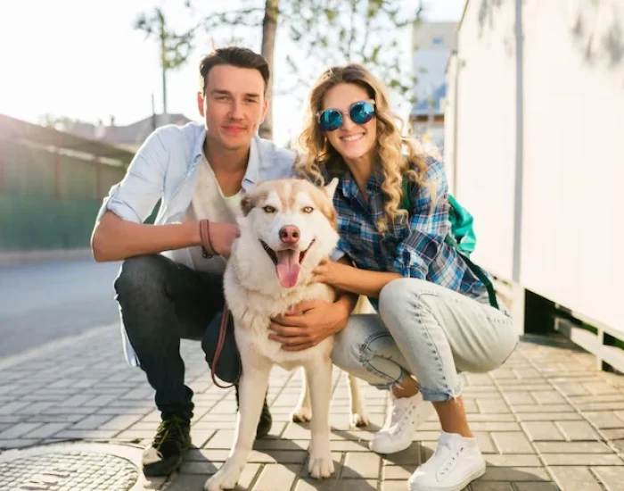 Ground Transport in the UKr