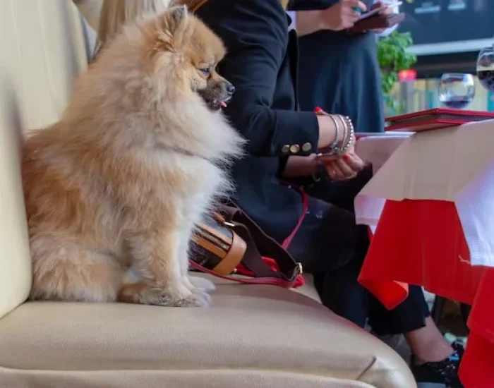 Ground and Air Transport Coordination