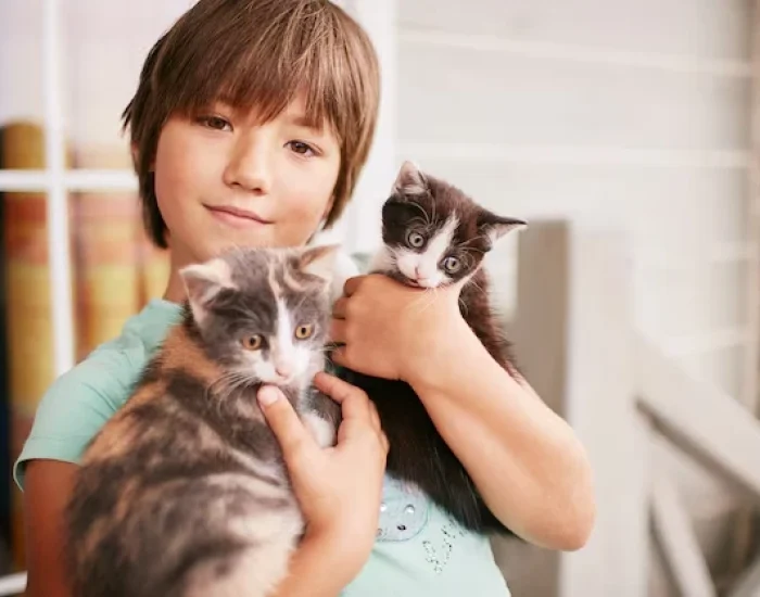 Group or Multiple Pet Transportoi