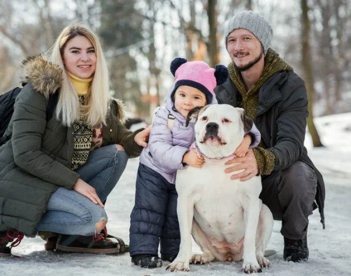 Health and Veterinary Compliance