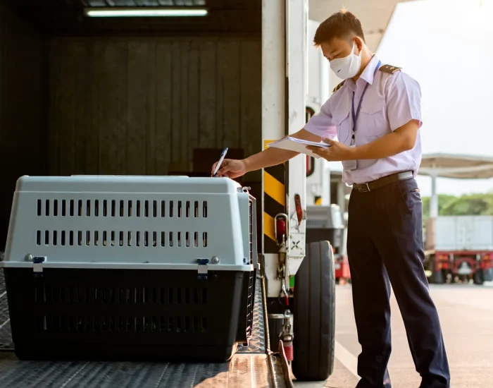 Ho Chi Minh City Arrival Management