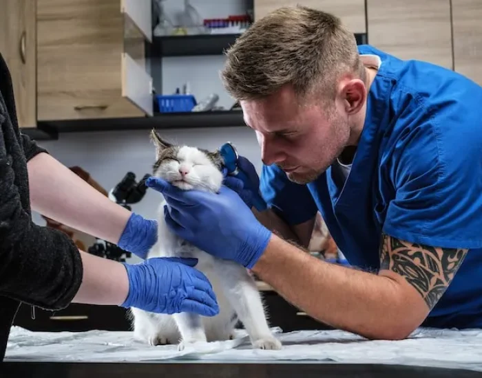 Home-to-Airport Ground Transport