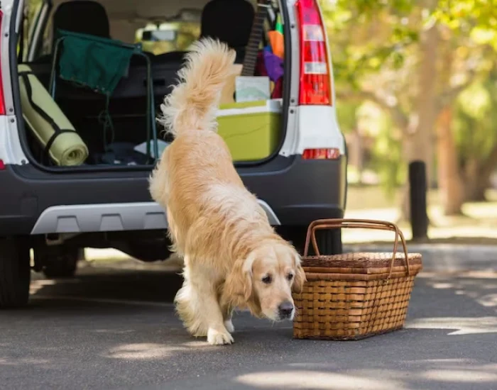 Home-to-Airport and Airport-to-Home Transport