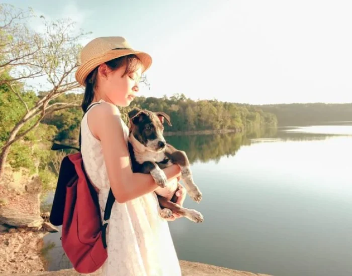 IATA-Approved Crate Fitting & Travel Conditioning