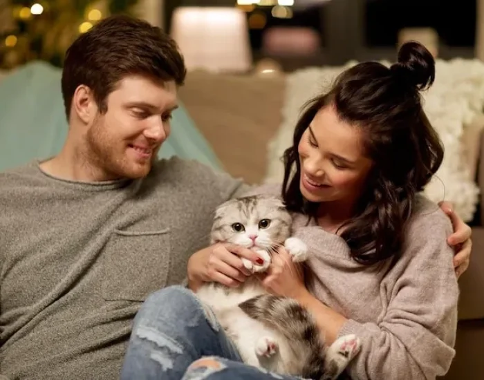 IATA Approved Travel Crate Preparation