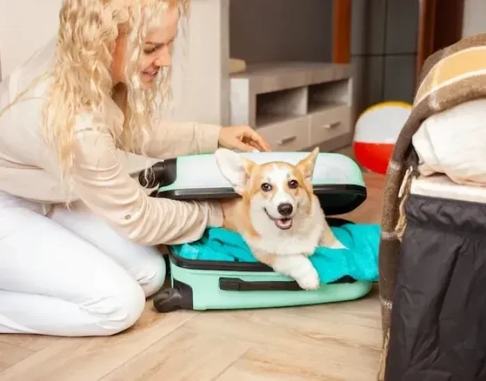 IATA-Compliant Crate Planning and Preparation