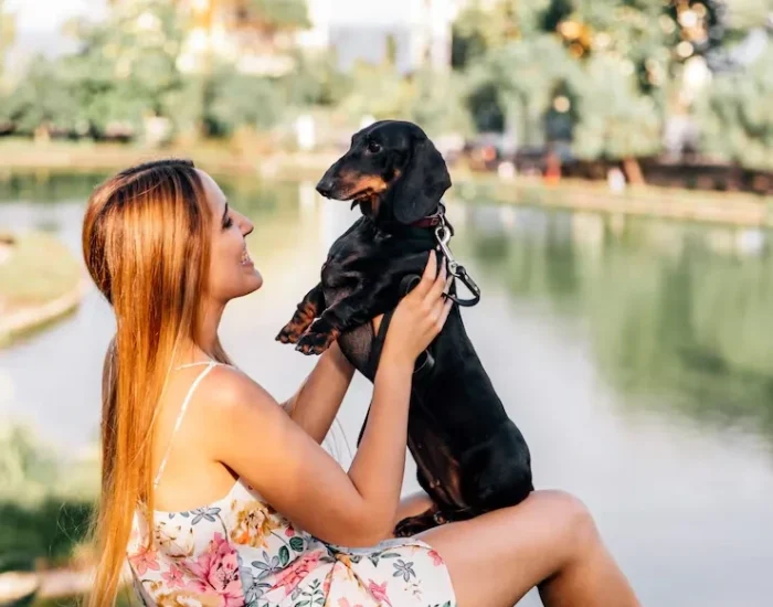 IATA-Compliant Crate Provision and Travel Conditioning