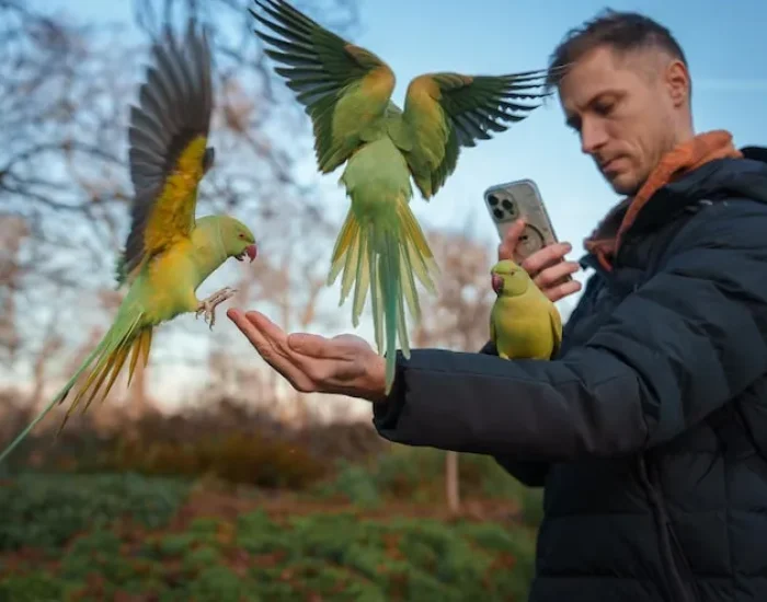 IATA-Compliant Travel Crate Preparation