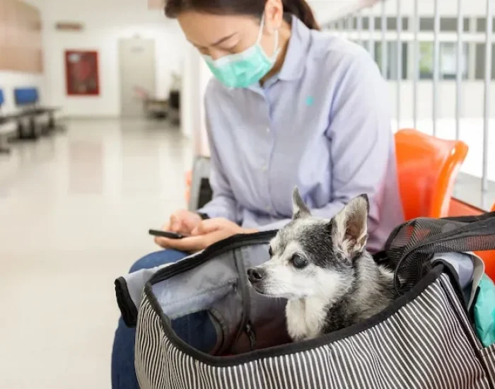 IATA-Compliant Travel Crate Preparation