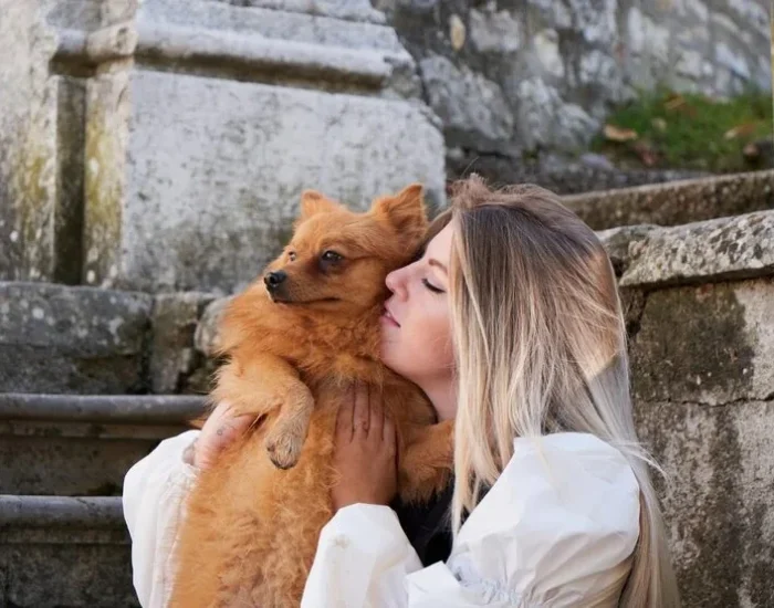 IATA Travel Crate Preparation