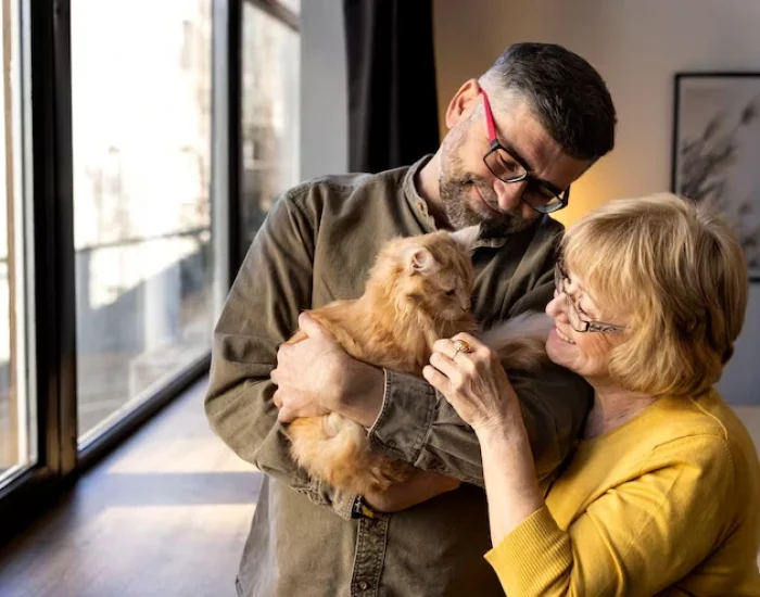 Import Requirements for Brazil (ANVISA Compliance