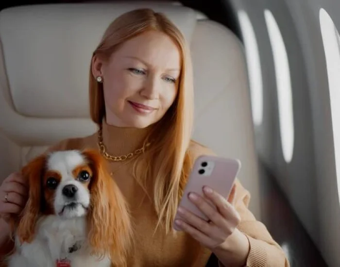 In-Flight Pet Welfare and Monitoring