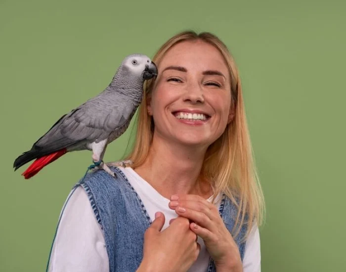 In-Transit Care and Temperature Control