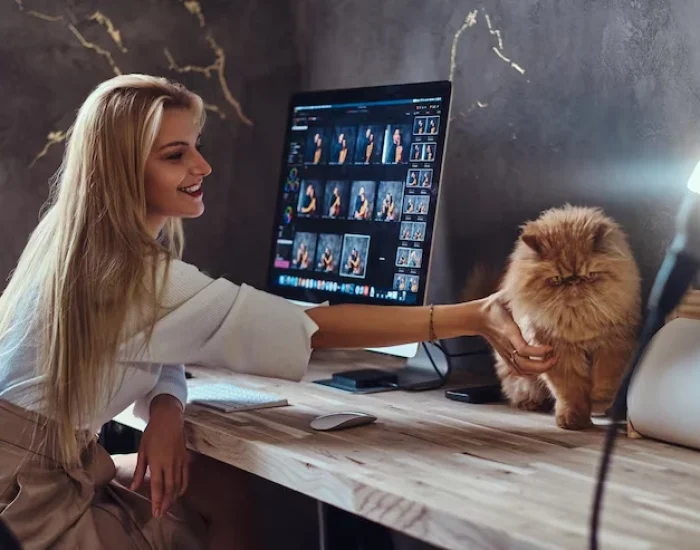 Industry Statistics That Matter for catsac