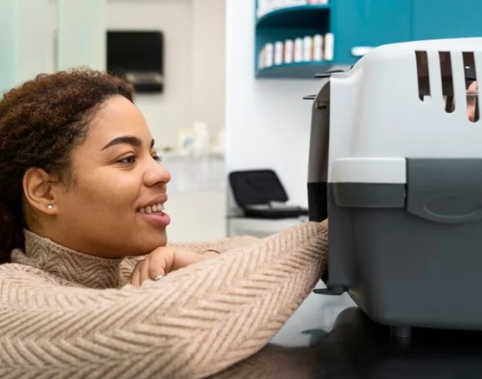 International Pet Import Rules Review