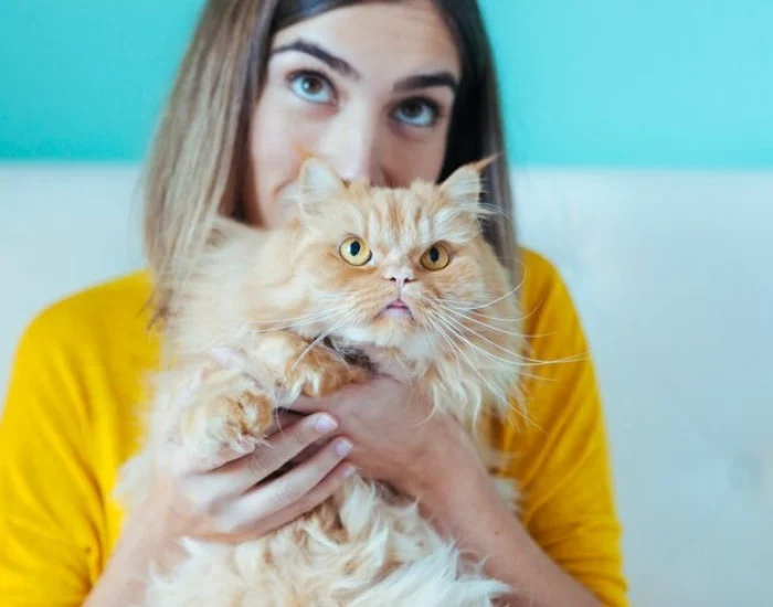 International Pet Relocation Management