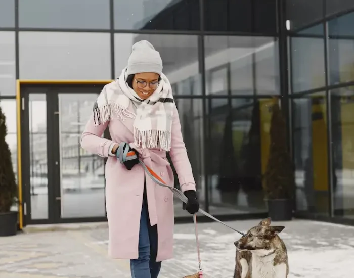 International Pet Travel Coordinatio