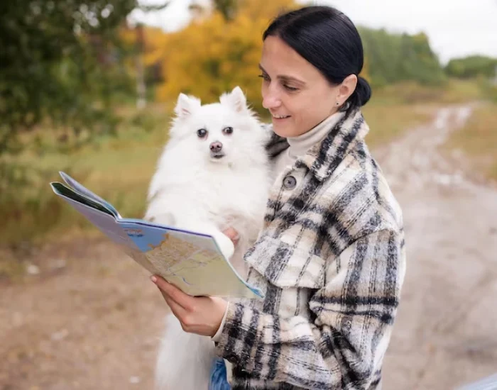 International Pet Travel Documentation