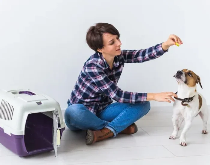 International Pet Travel Planning