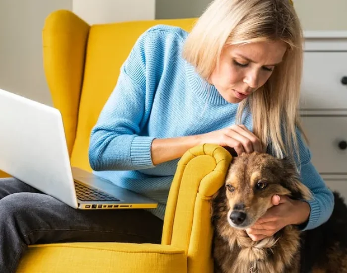 International Pet Travel Preparation Support