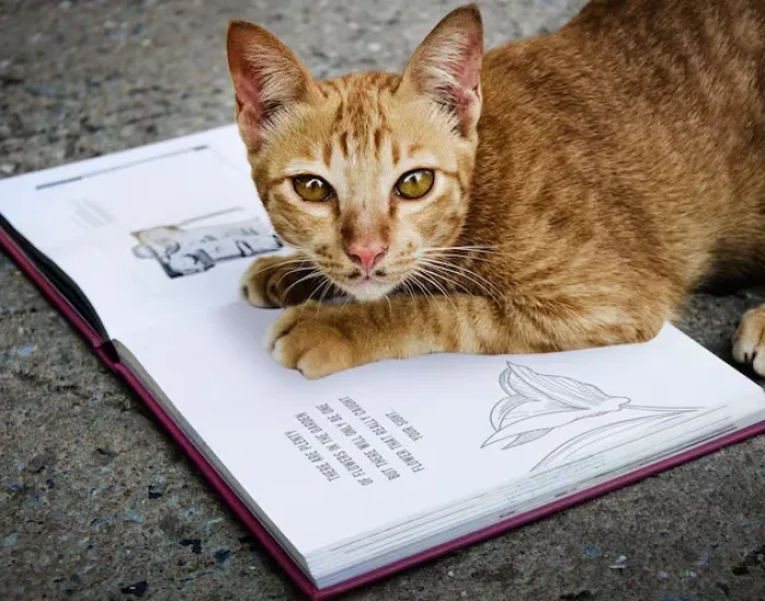 International and Domestic Documentation Handling