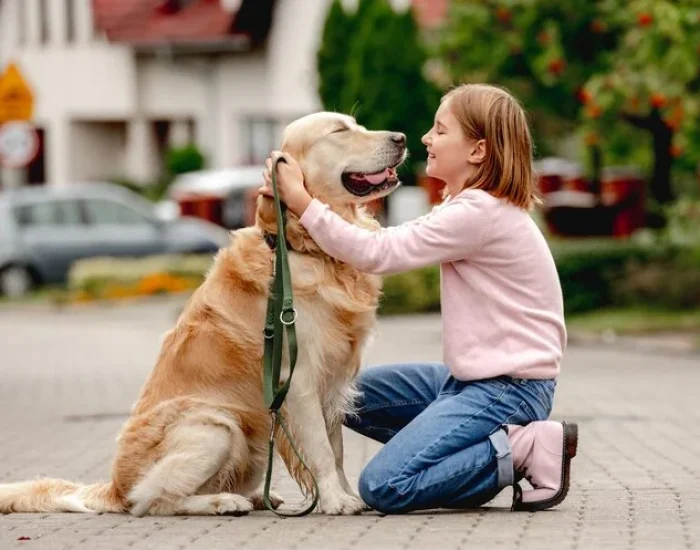 International and Domestic Flight Coordination