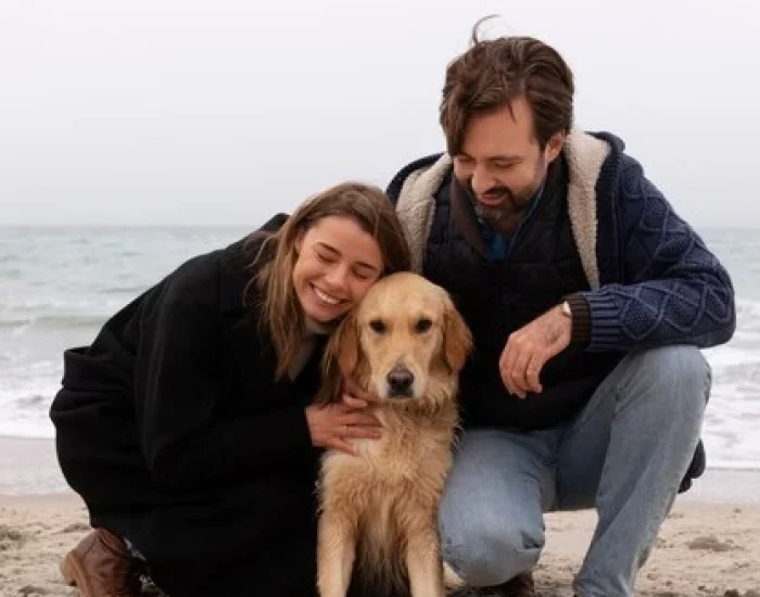 International show dog