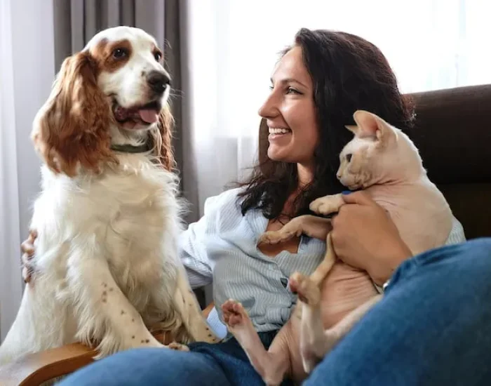 Keeping Your Pet Cool